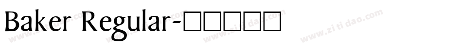 Baker Regular字体转换